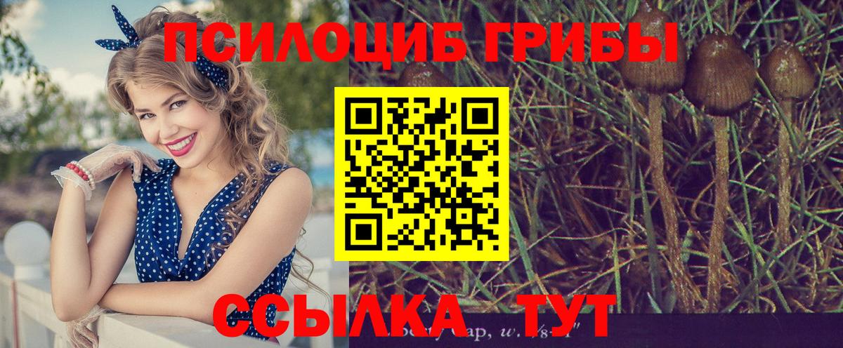 Галлюциногенные грибы Psilocybine cubensis  Вход с VPN  Великие Луки  Галлюциногенные грибы GOLDEN TEACHER 
