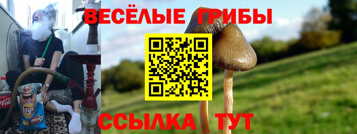 Галлюциногенные грибы прущие грибы Великие Луки