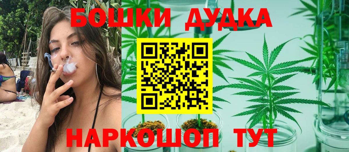 Бошки Шишки планчик Великие Луки
